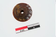 Foto von Bernsteinringperle (NHMW-PRAE-023981)